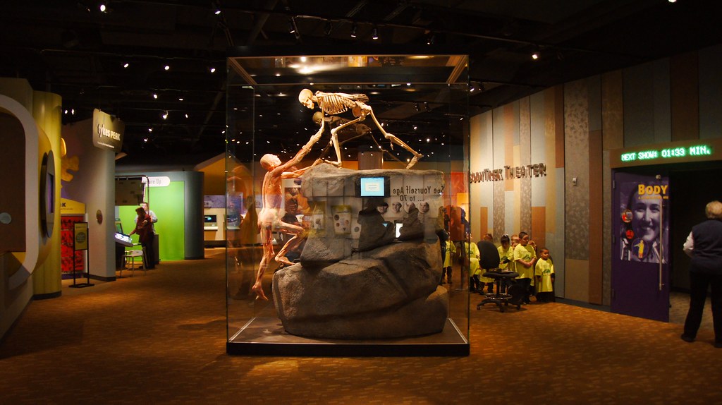Health Expedition in Denver Colorado Museum
