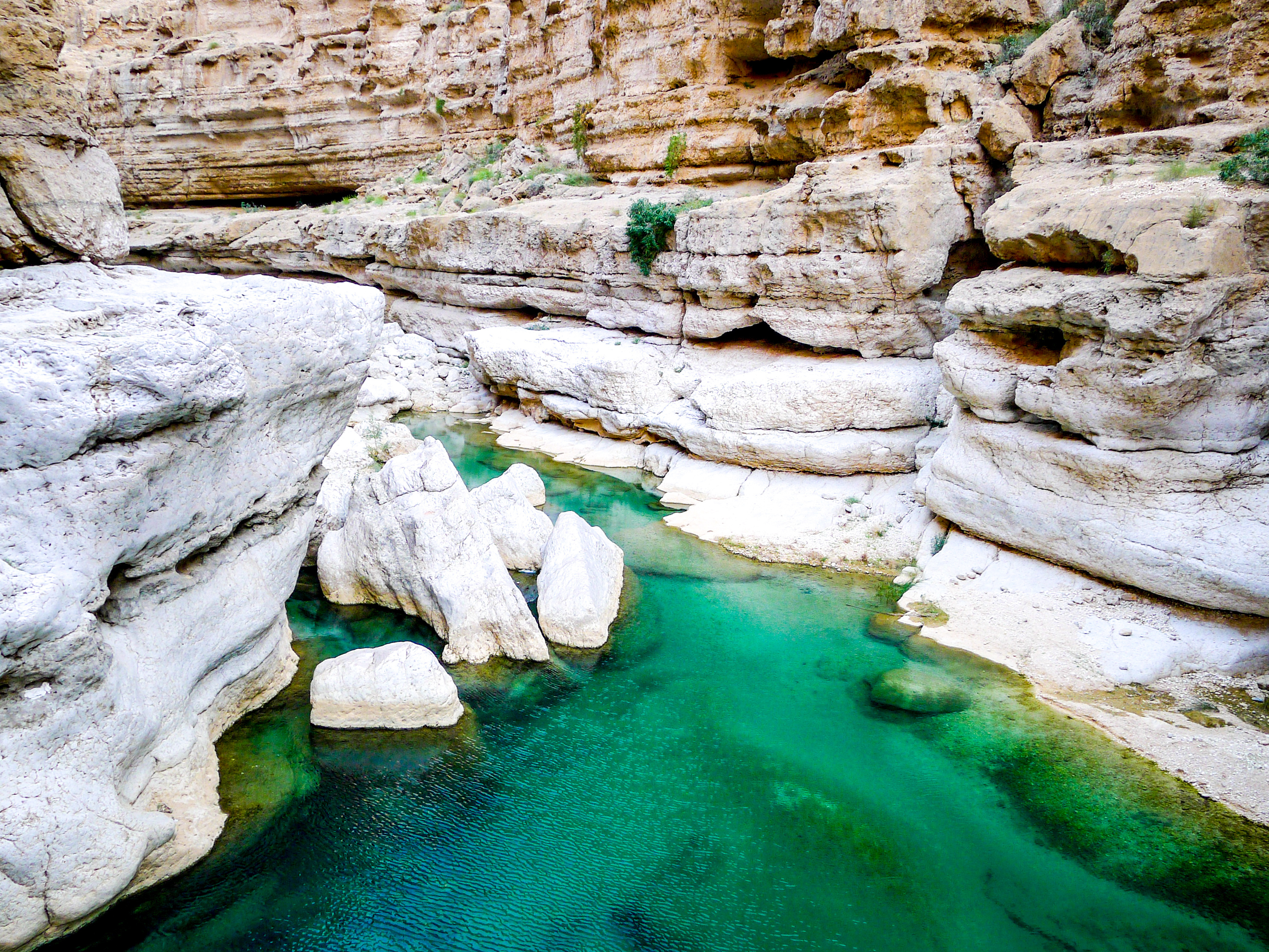 Turquoise blue waters of Wadi Shab, a canyon near Muscat in Oman