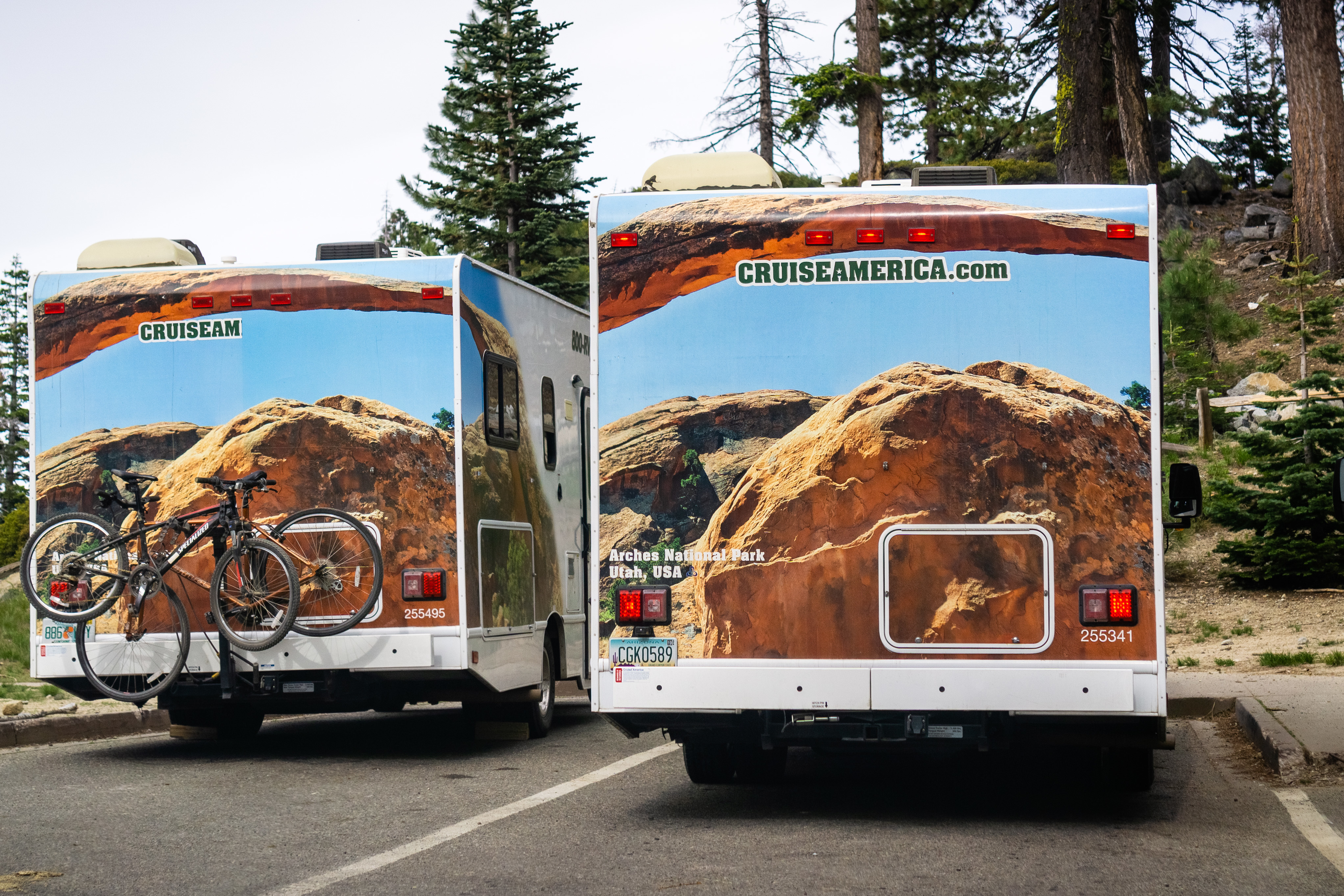 Two Cruise America RV rented RVs in parking lot of Yosemite National Park