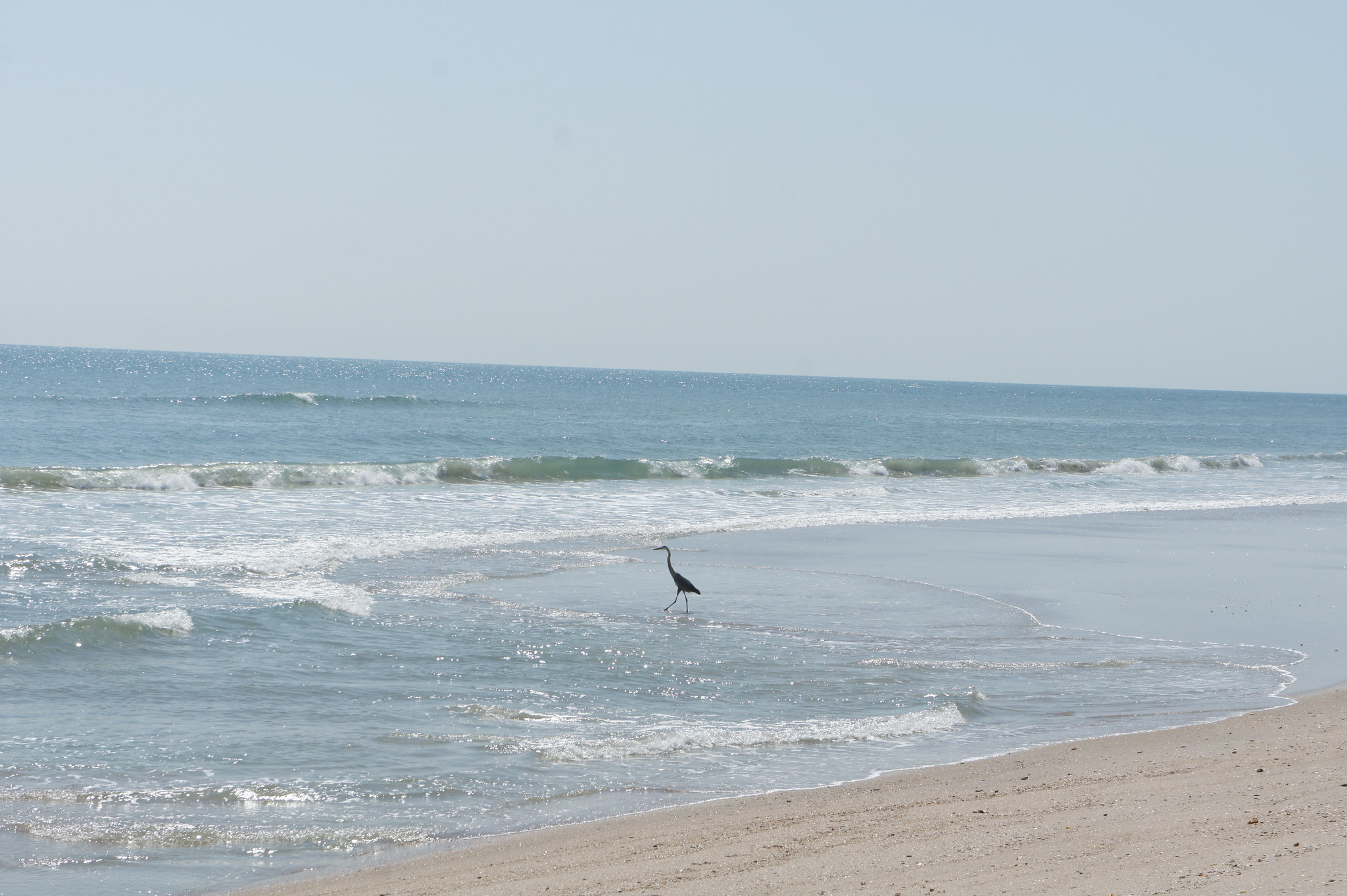 Playalinda Beach in Oregon, Florida