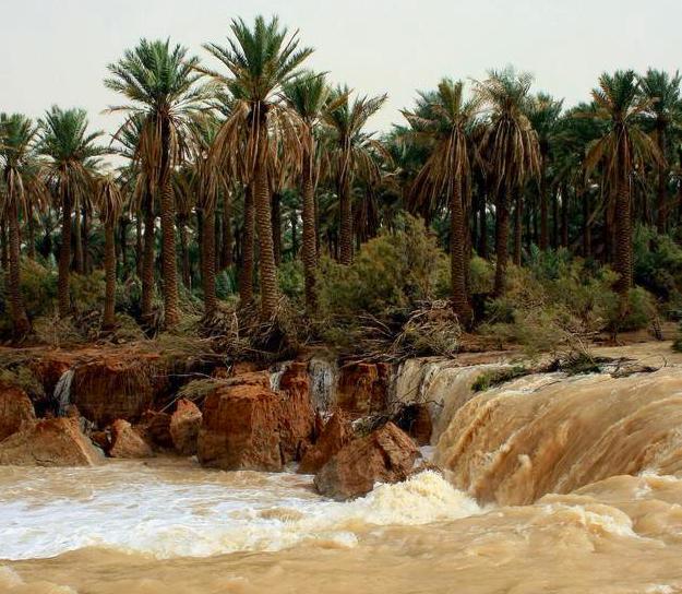 Wadi al-Rummah in Saudi Arabia