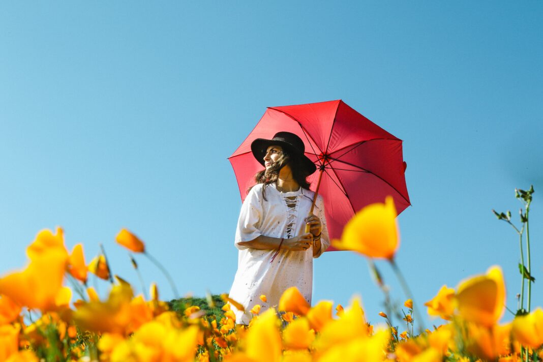 A girl in white dress holding a red umbrella in the field of yellow flowers