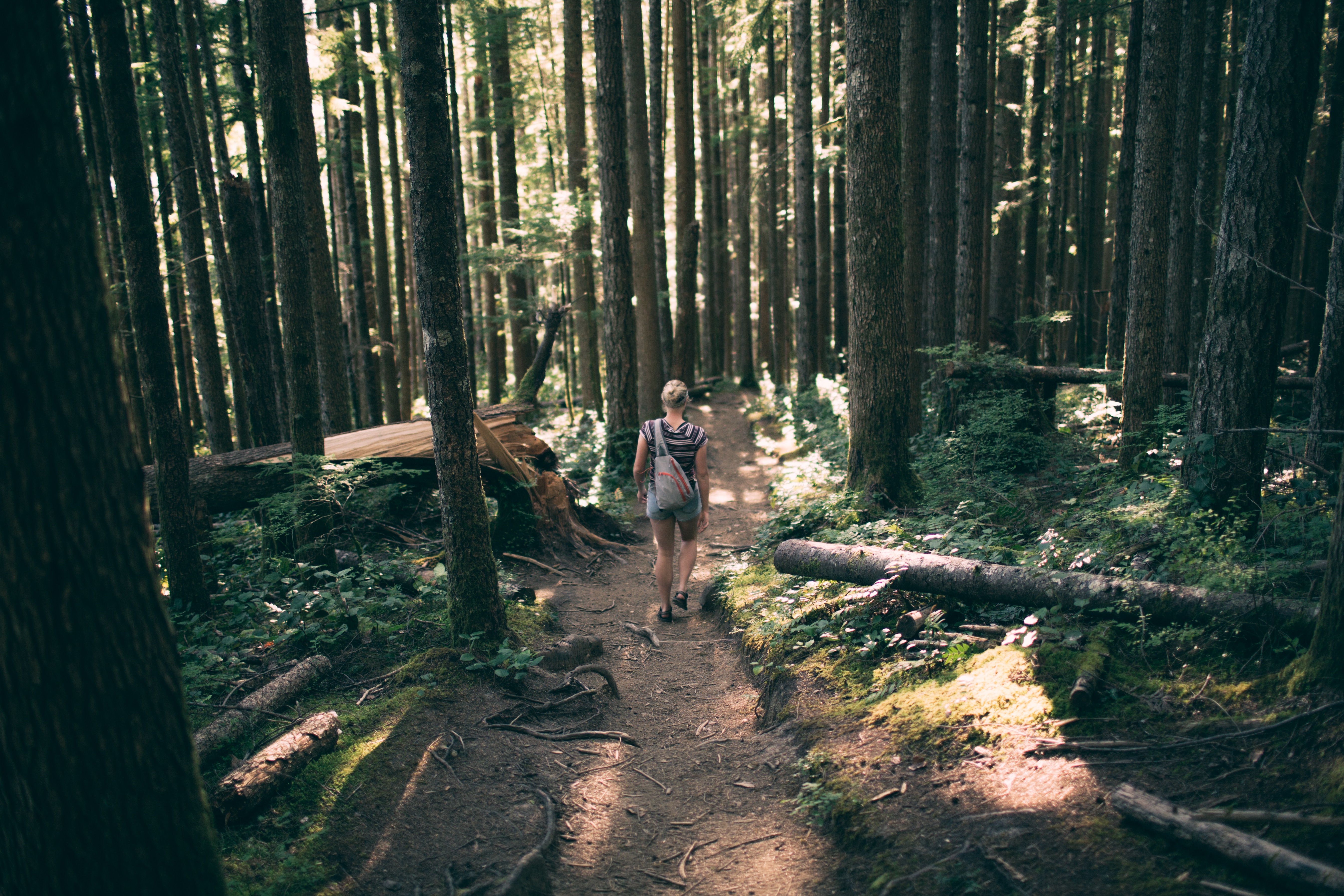 women is hiking in the jungle following the trail