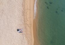 Sunbathing in the Brazilian Ocean