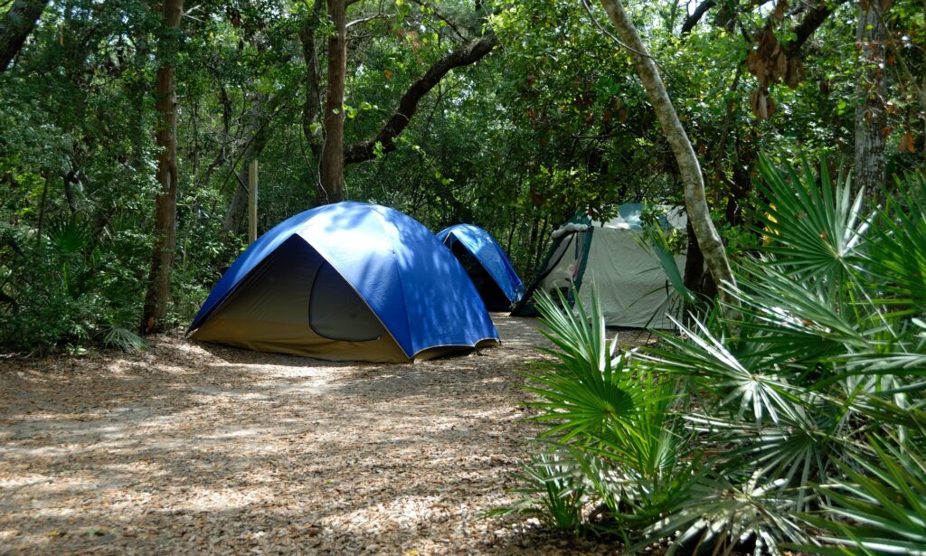 Tents by the woods