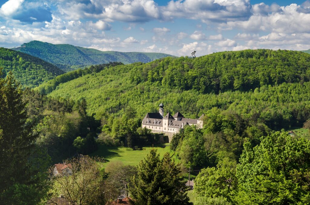 a house in the middle of the woods.