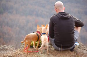 A man sitting near a cliff with two dogs.