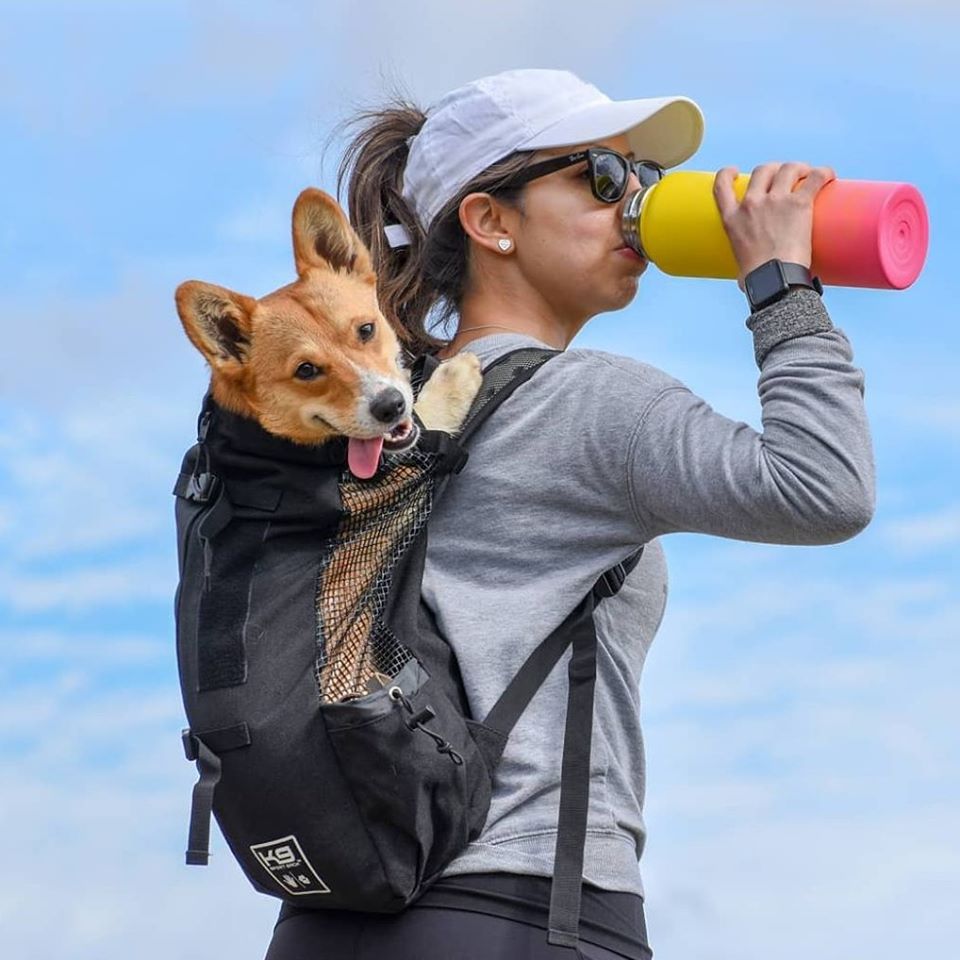 A girl drinking from a bottle while carrying a dog backpack.