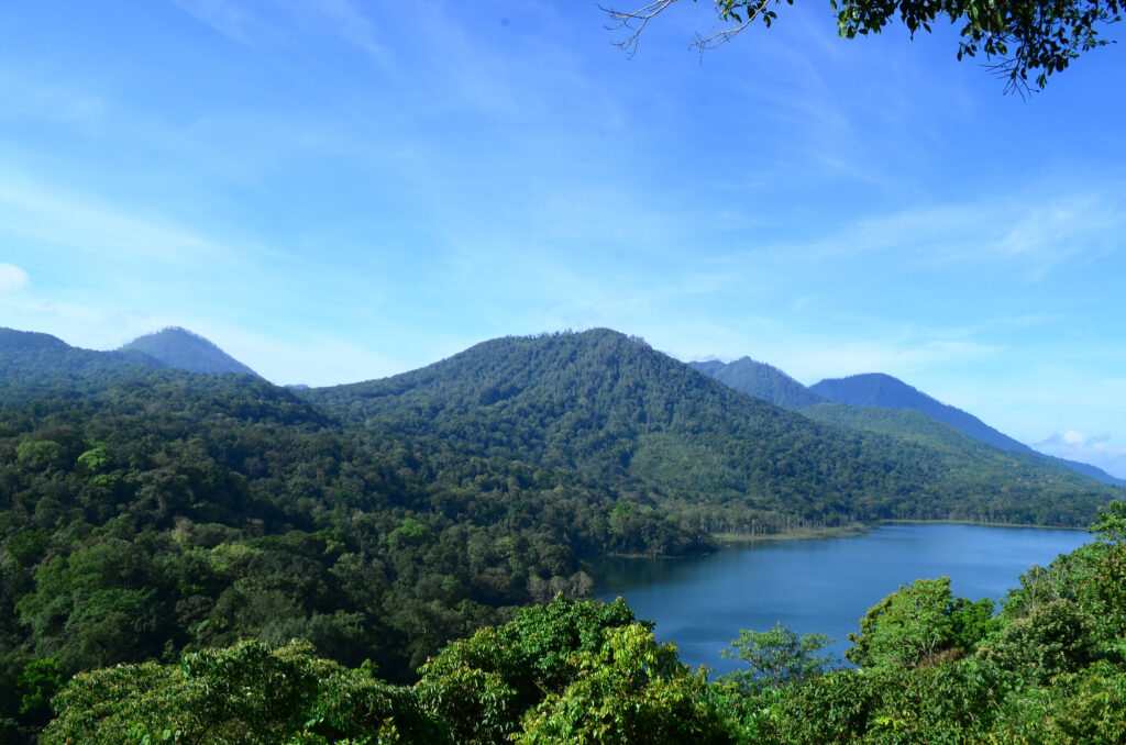 A lake near forested mountains.