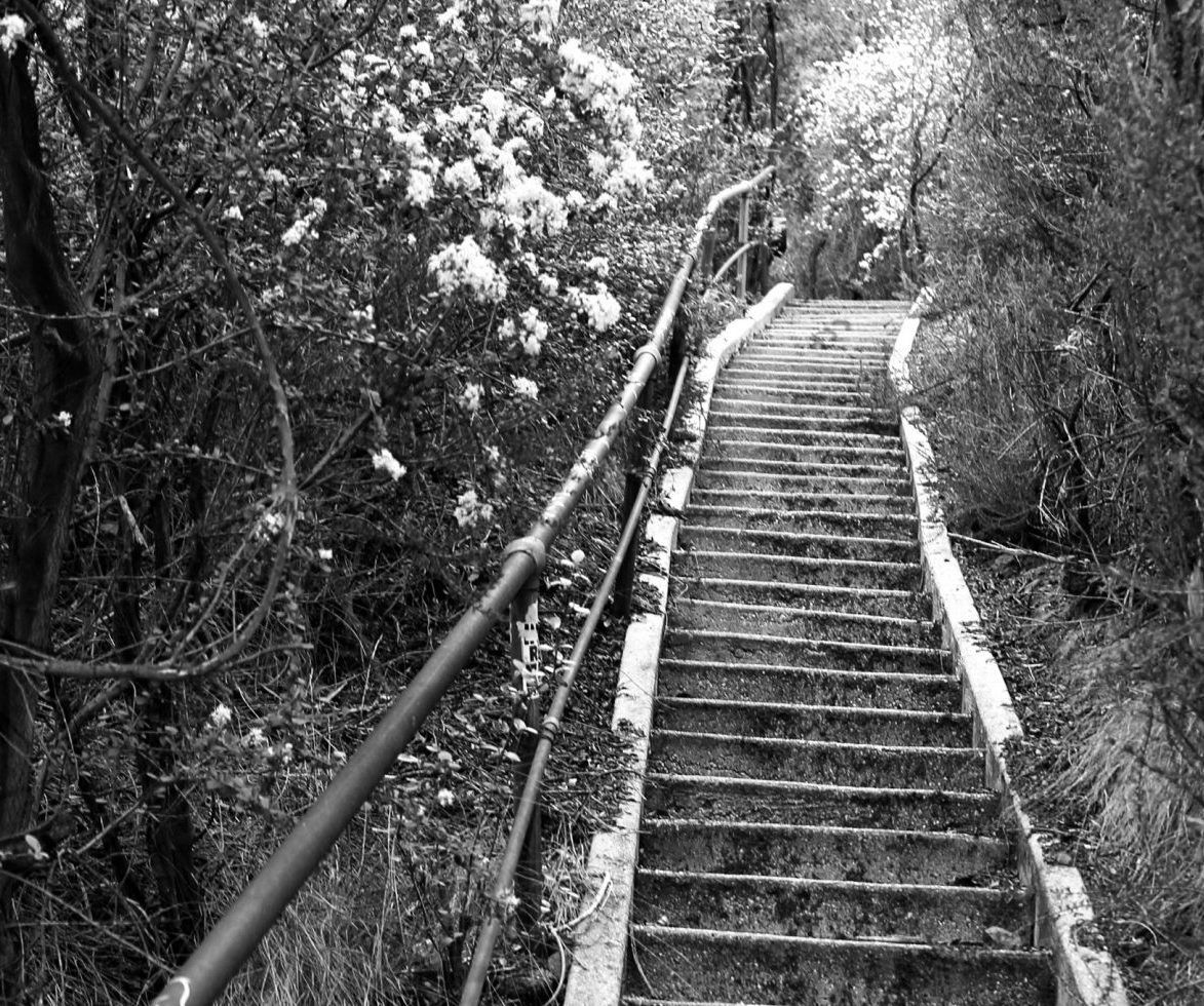 Black and white photo filter Murphy Ranch Stairs in Los Angeles