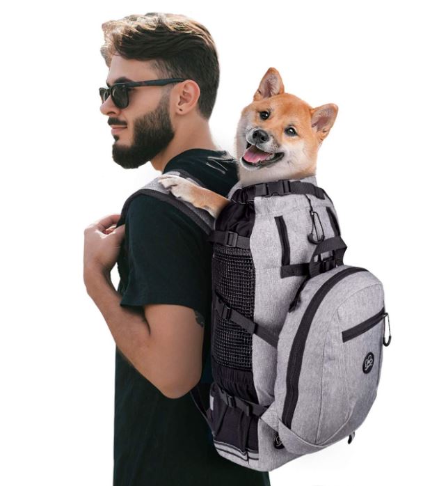 A guy wearing a gray backpack pet carrier with a brown dog inside.