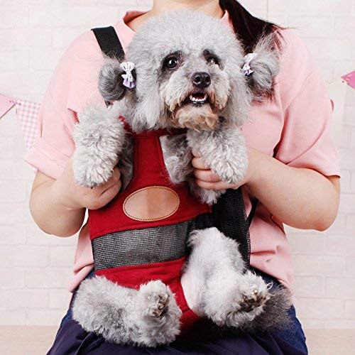 A girl carrying a gray dog inside a red pet carrier.