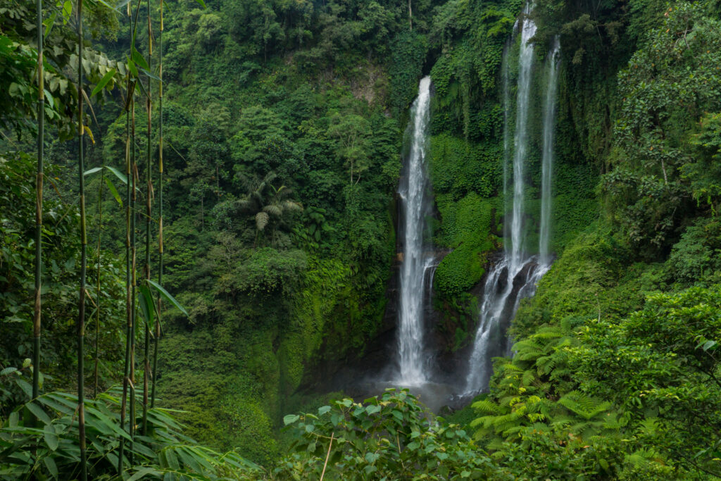 Cascading waterfalls in the middle of a forest.