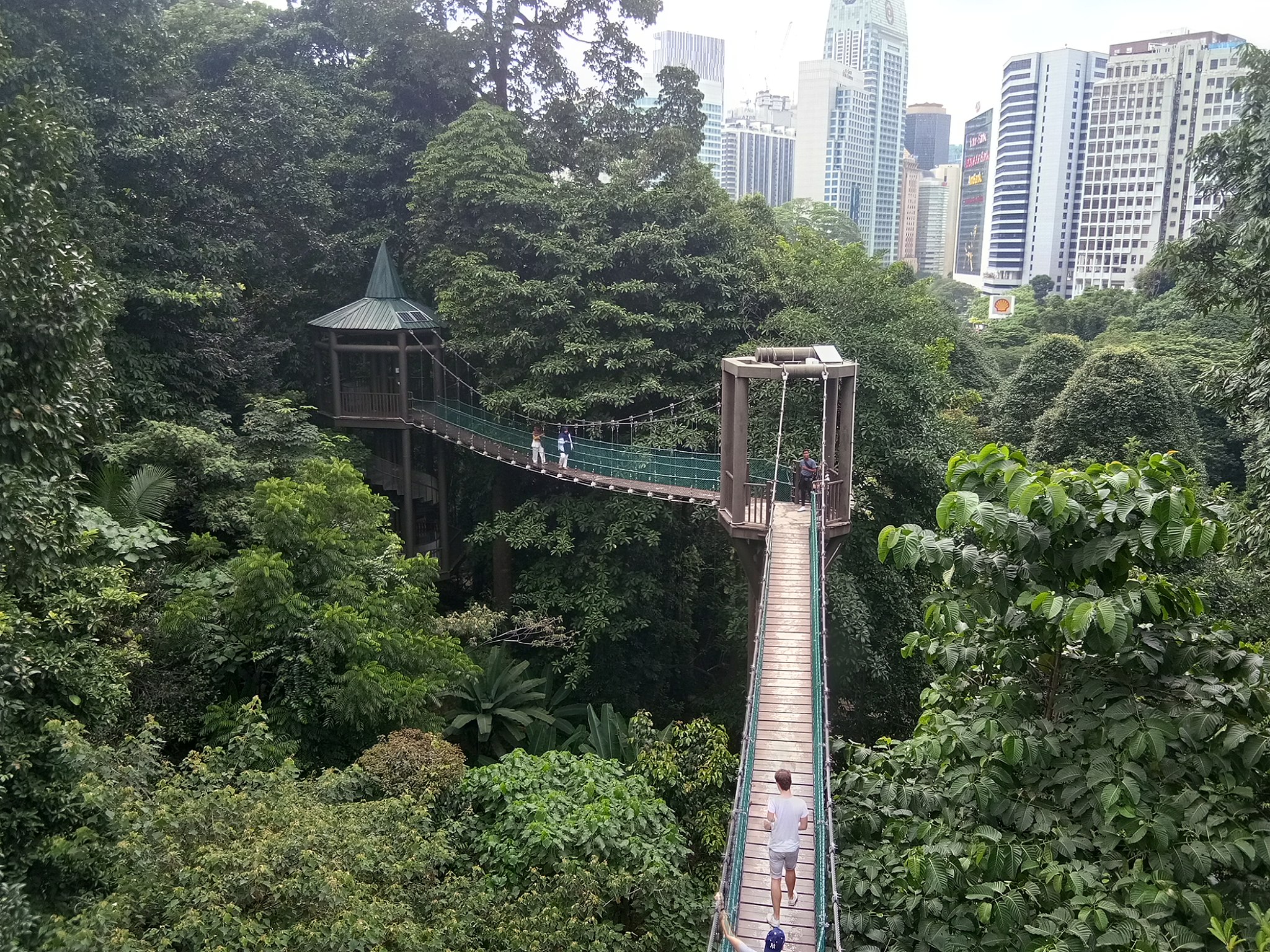 Canopy Walk at the KL Forest Eco Park during the day.