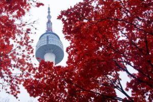 A shot of Namsan Tower behind trees, a famous landmark in South Korea.