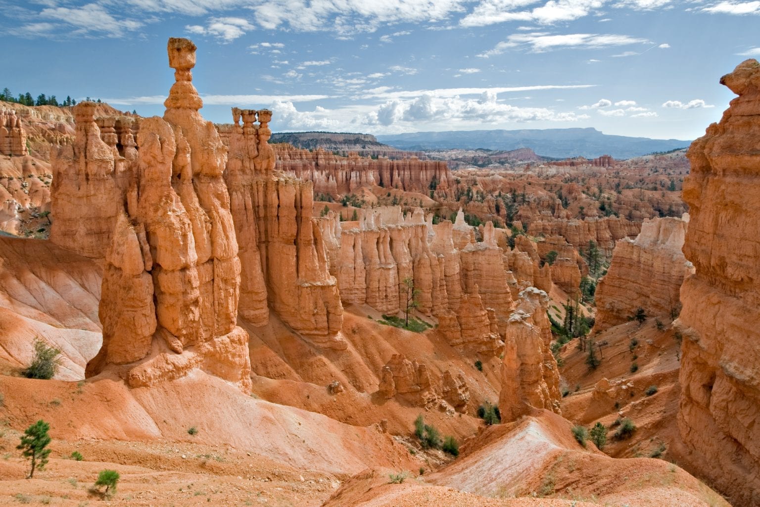 Bryce Canyon And Zion National Park, Utah: In Photos