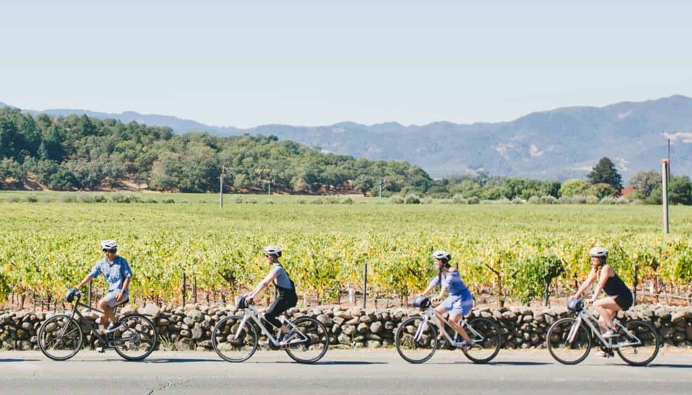 Guide To The Napa Valley Vine Trail: Everything You Need To Know