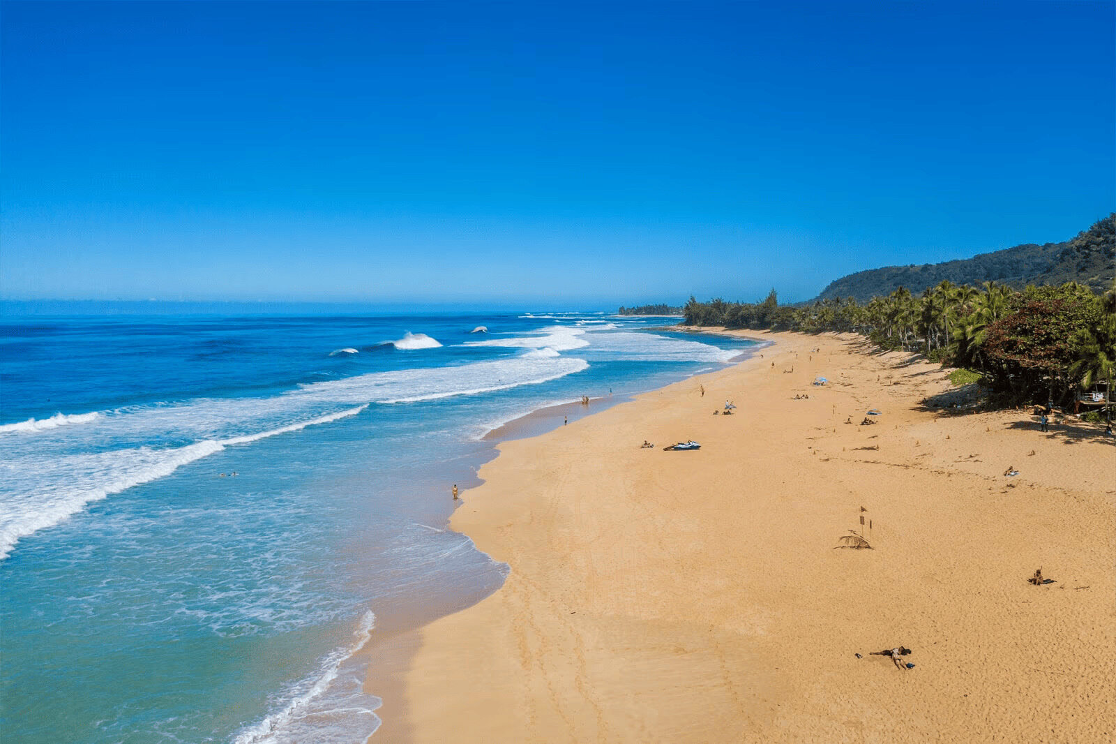 Oahu’s North Shore: 10 Stops For A Perfect Day Trip Itinerary