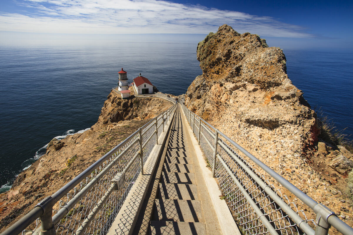 Point Reyes Day Trip Itinerary: The Perfect Weekend Adventure