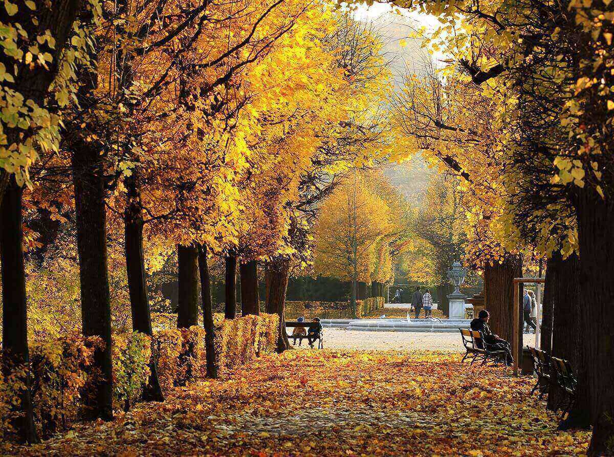 Schönbrunn Palace In Vienna – Wonderful Autumn Photos