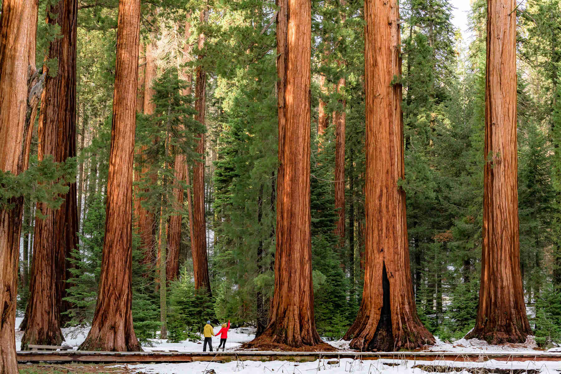 The Most Beautiful National Parks On The West Coast