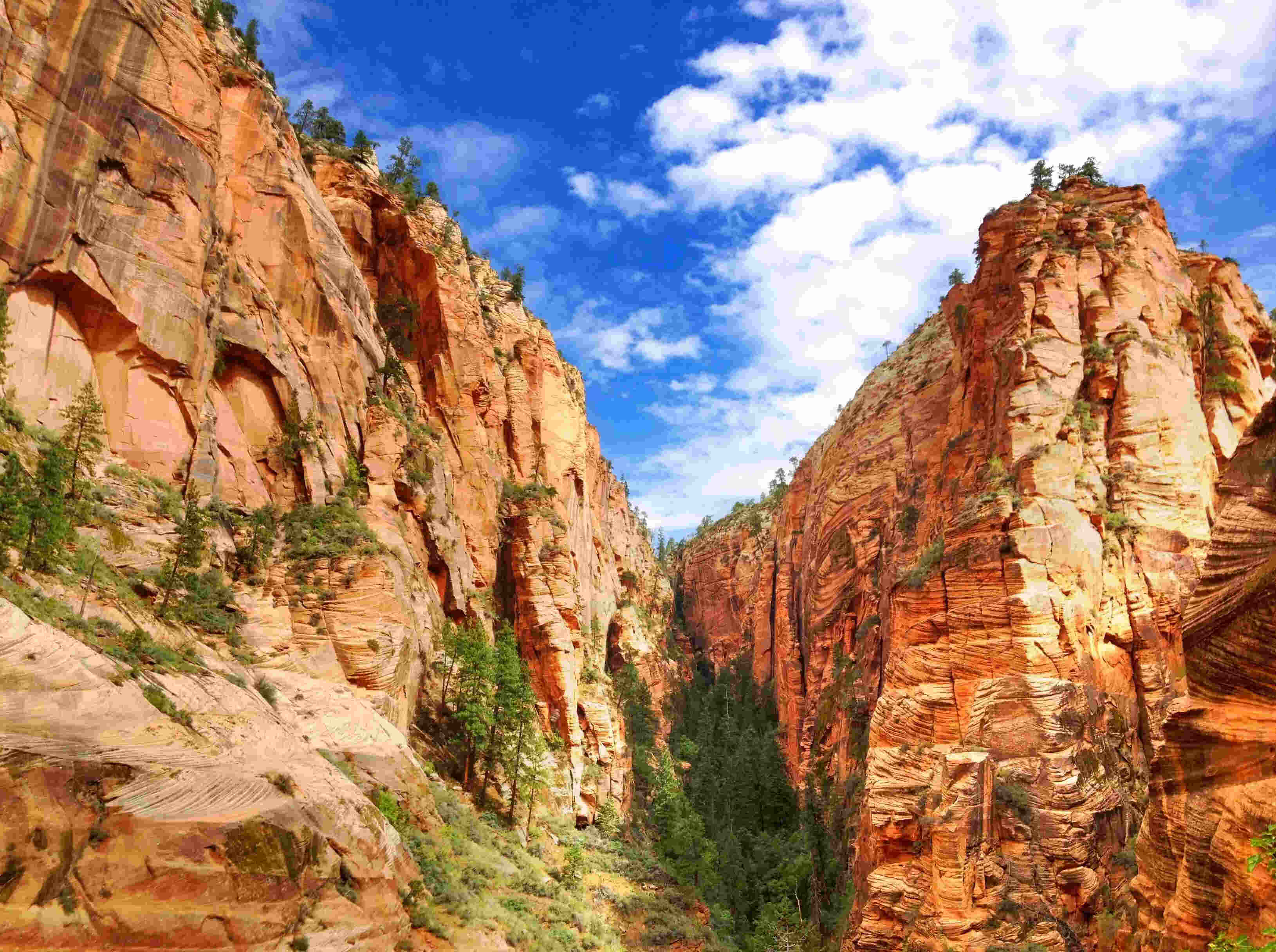 The Perfect 5-Day Zion And Bryce Canyon National Park Road Trip From Las Vegas