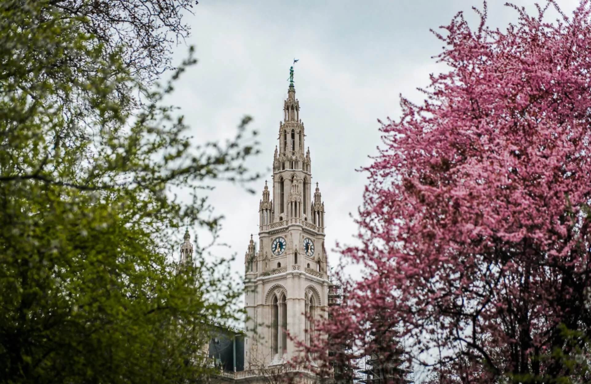 Vienna’s Top 10 Things To Do In Springtime