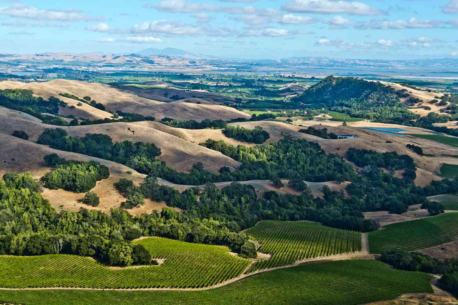 Weekend Getaway In Sonoma: Itinerary Of Things To Do In Sonoma County, CA