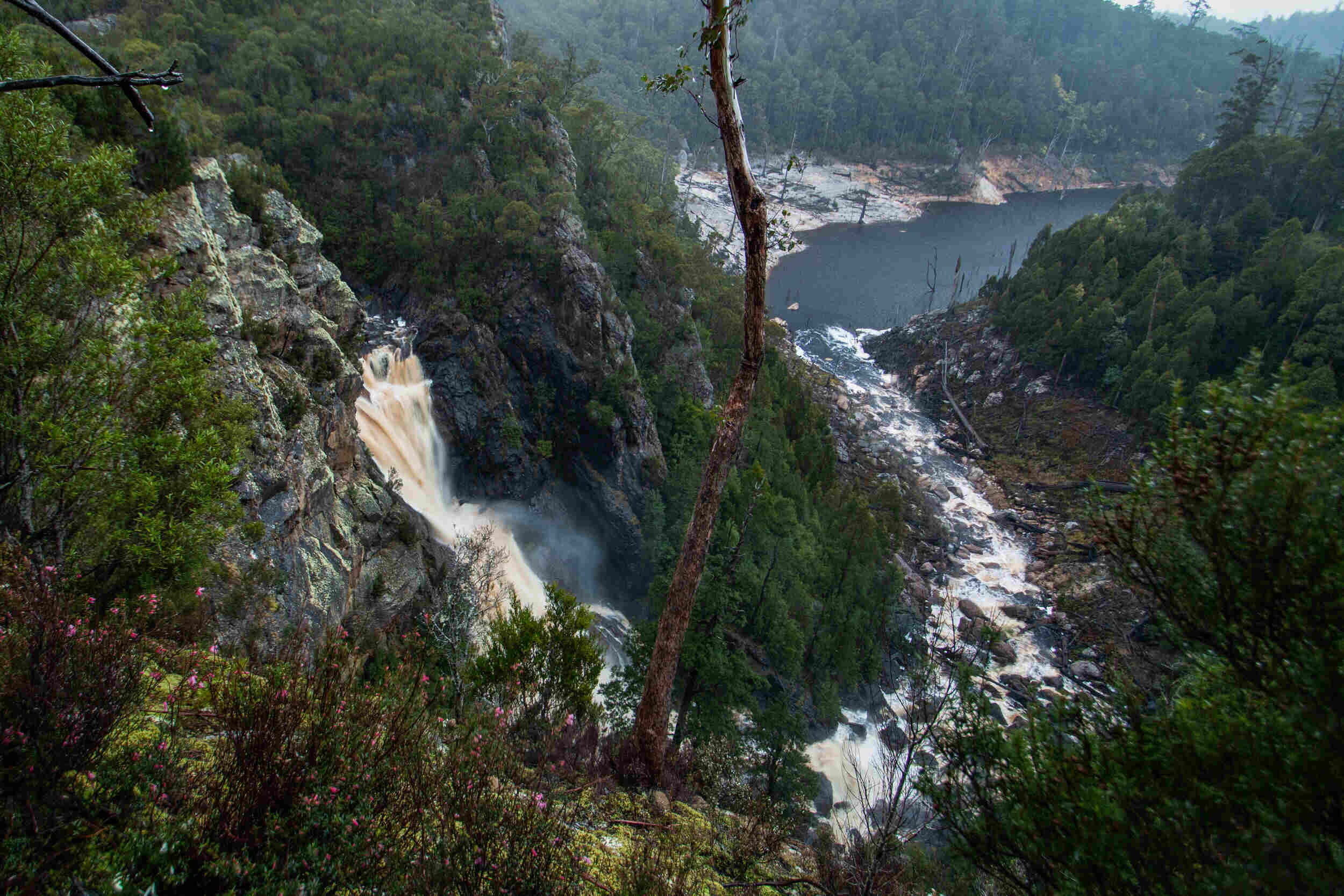 adamsons-falls-epic-waterfall-in-tasmanias-far-south