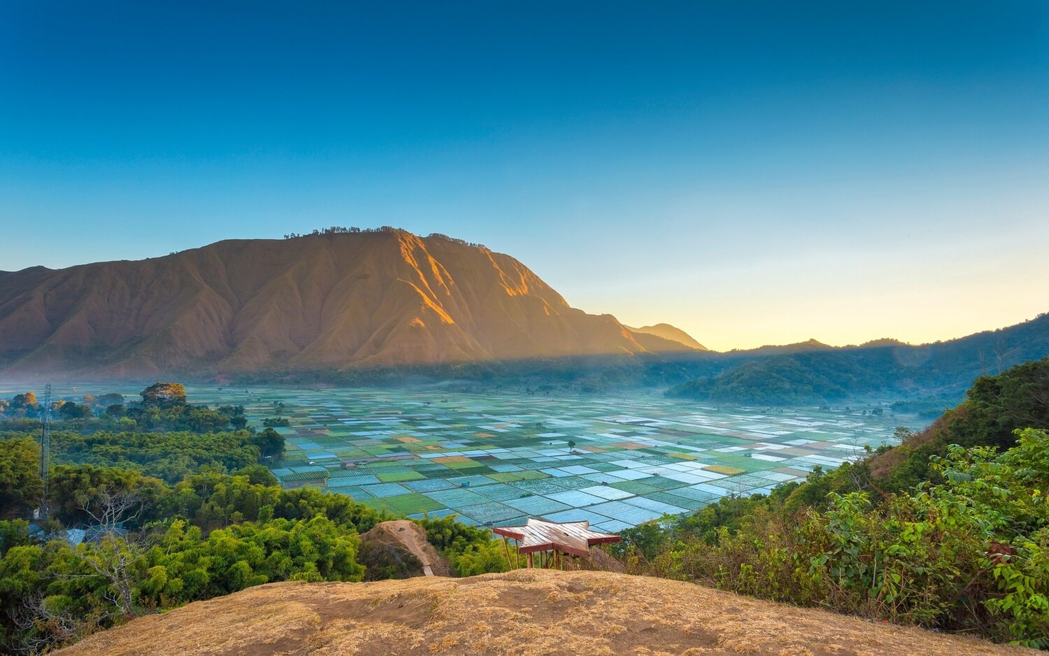 Bukit Selong Rice Field Viewpoint (Selong Hill) – Sembalun, Lombok