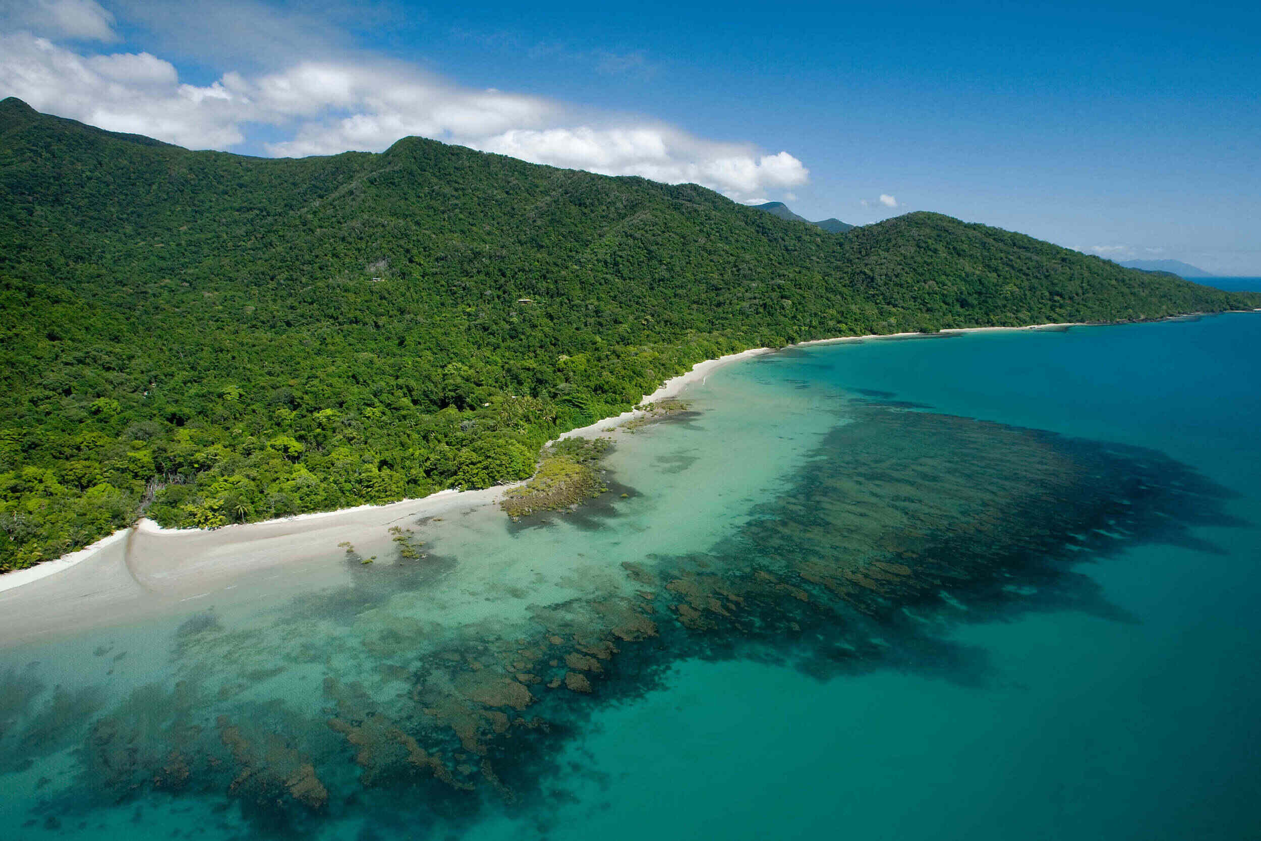 Cape Tribulation Adventures – Add These 7 Tours NOW!