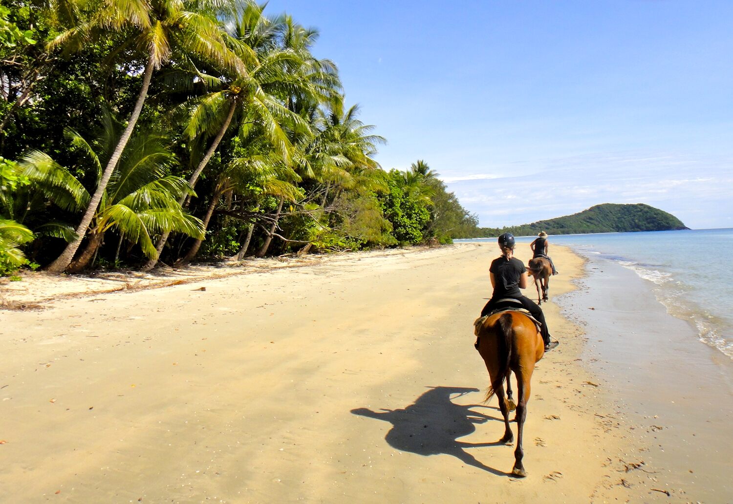 Cape Tribulation Horse Riding – Travel Guide