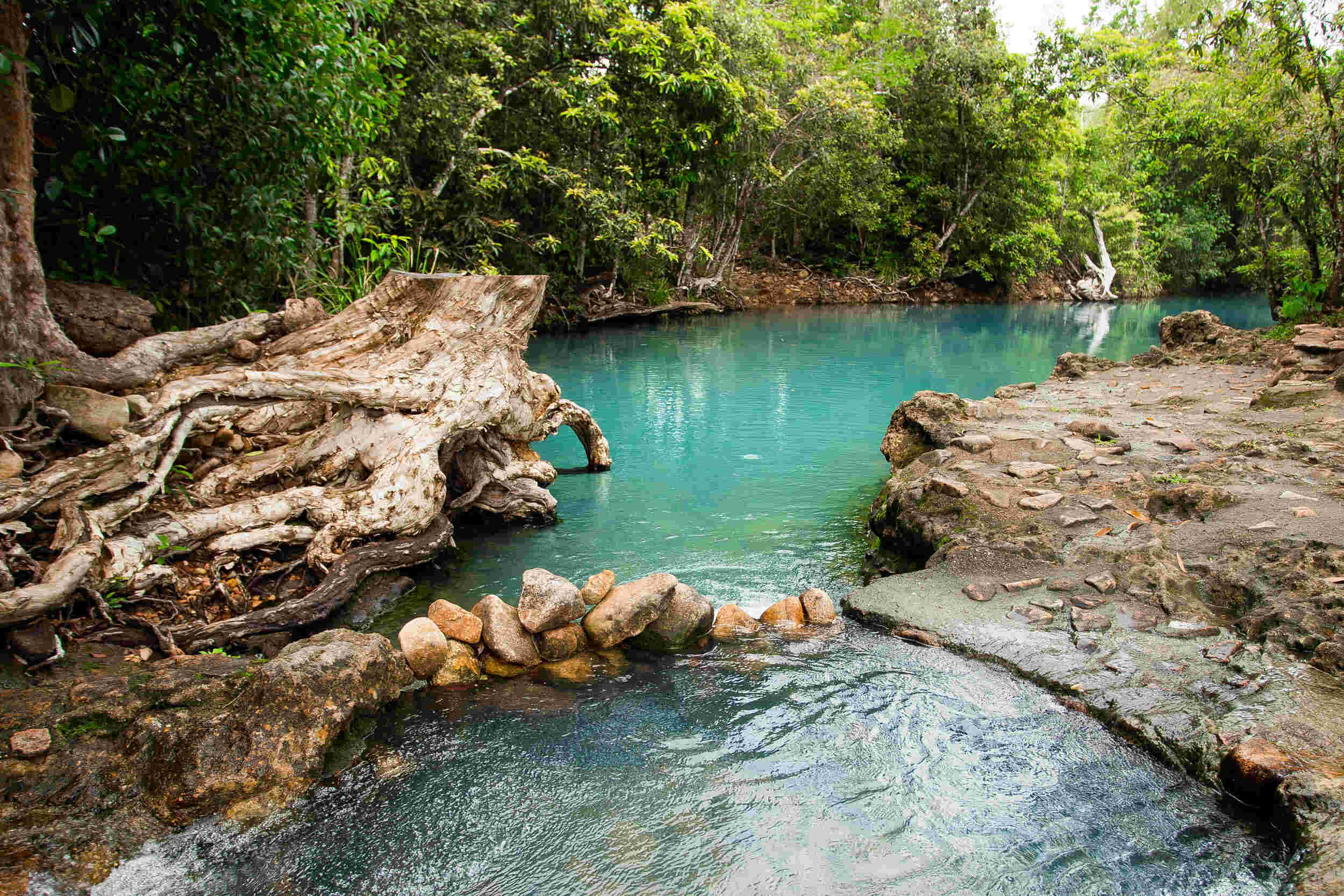 Cardwell Spa Pools – Most Updated Guide Blog