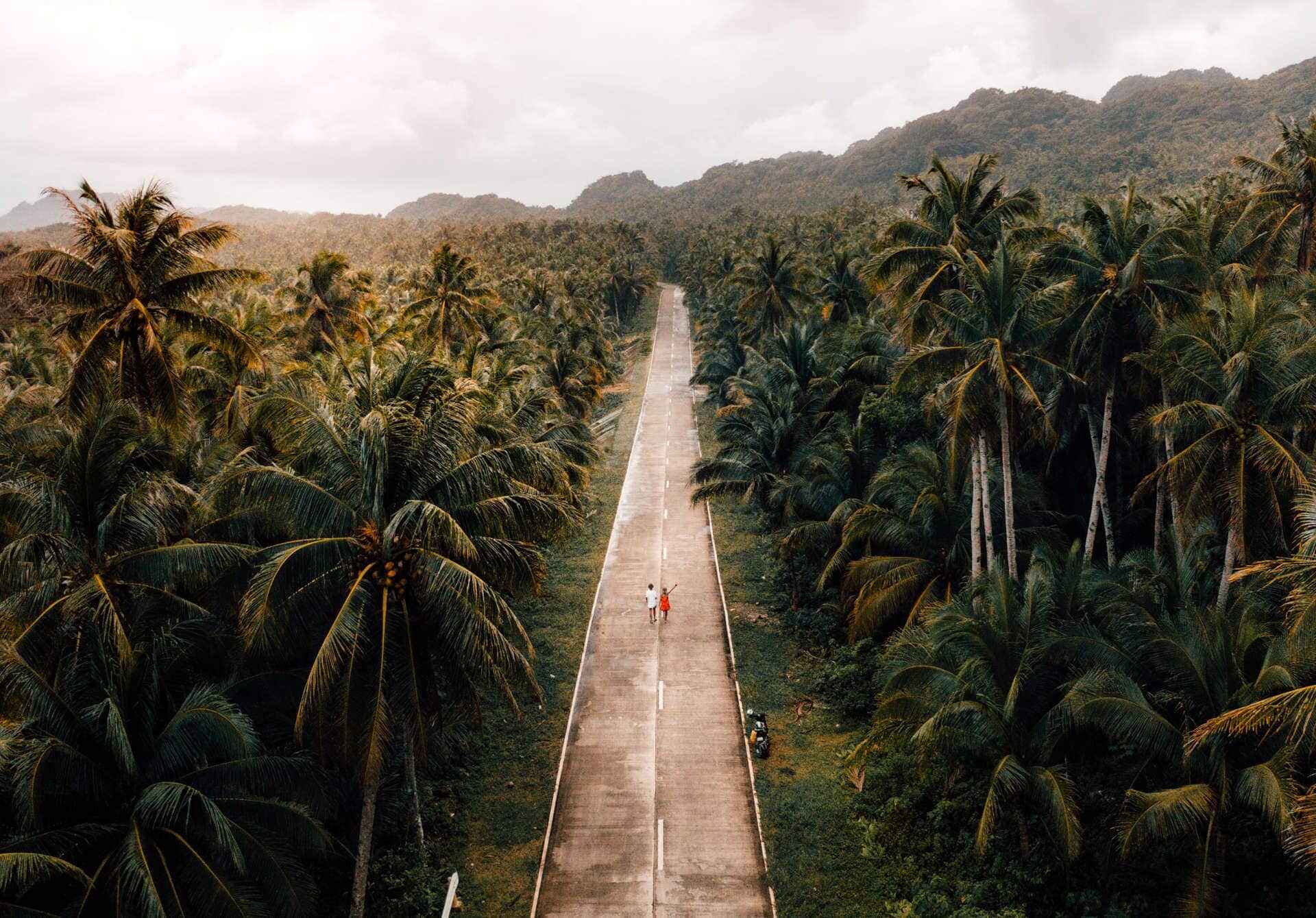 Coconut Road – How To Get To The Famous Palm Tree Road On Siargao