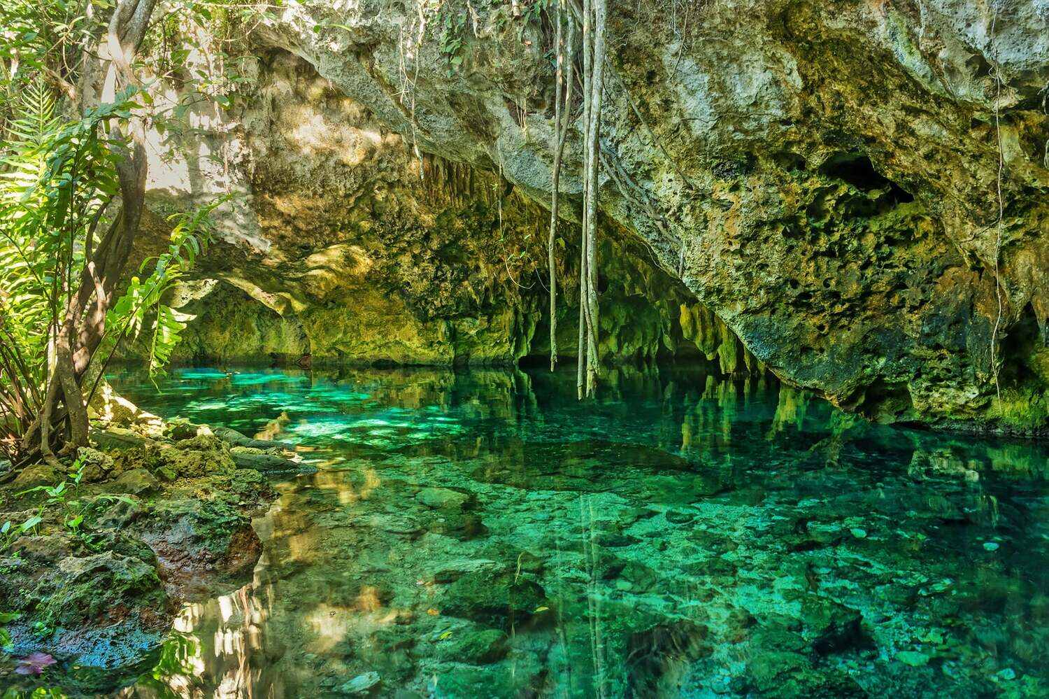 Gran Cenote Tulum – Complete Visitor Guide (Mexico)