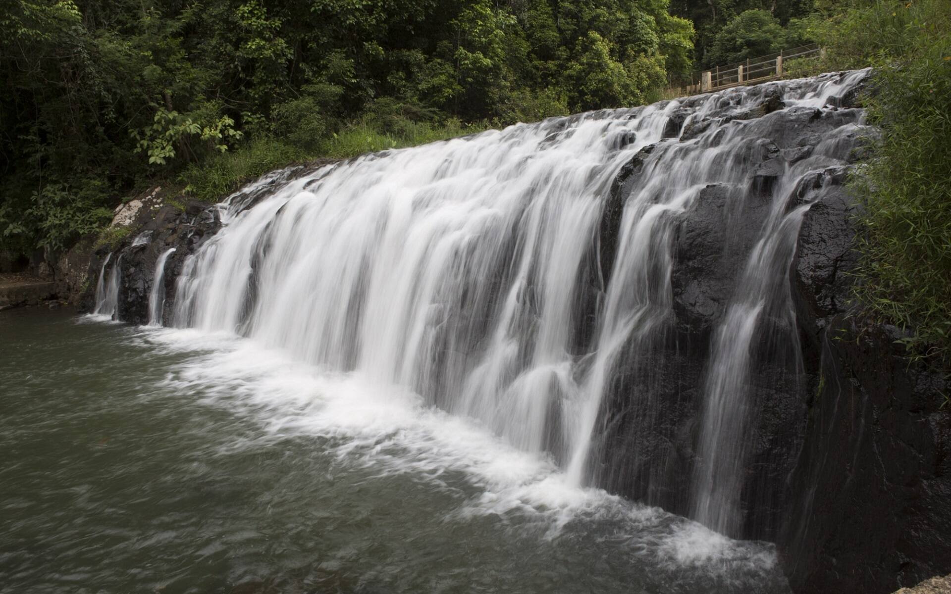 Guide To Mungalli Falls – Atherton Tablelands/Cairns