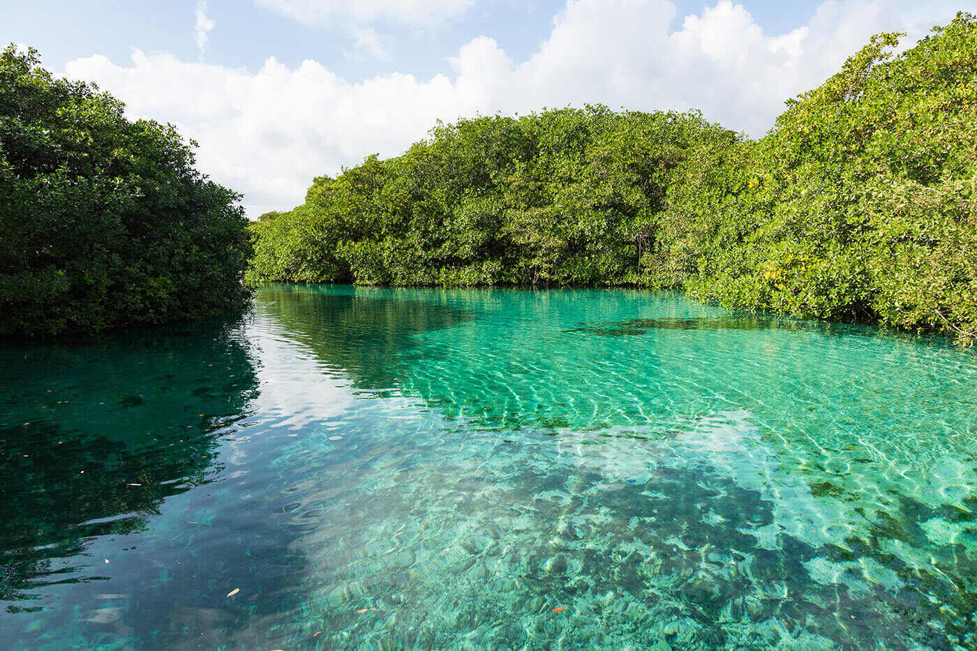 Guide To Visiting Casa Cenote (Cenote Manati) In Tulum, Mexico