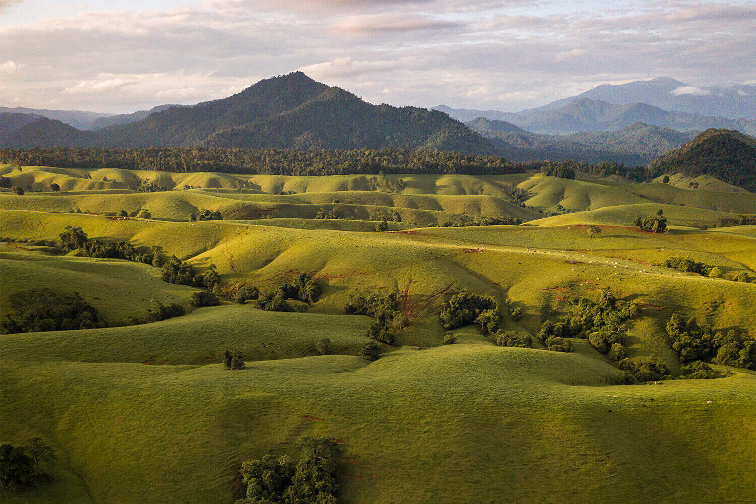 Have You Heard Of The Atherton Tablelands?