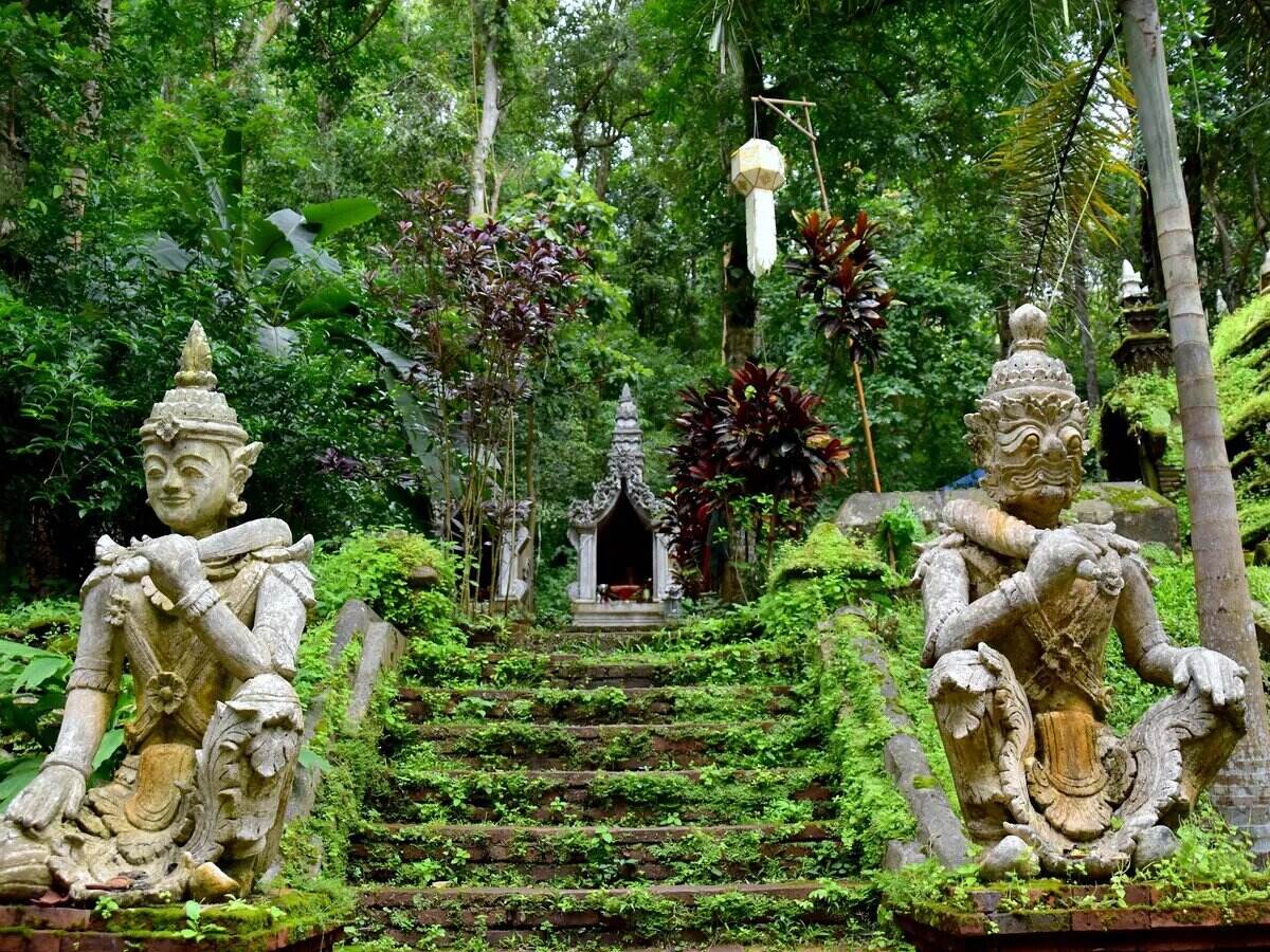 Hiking The Monks Trail Chiang Mai To Wat Pha Lat Temple