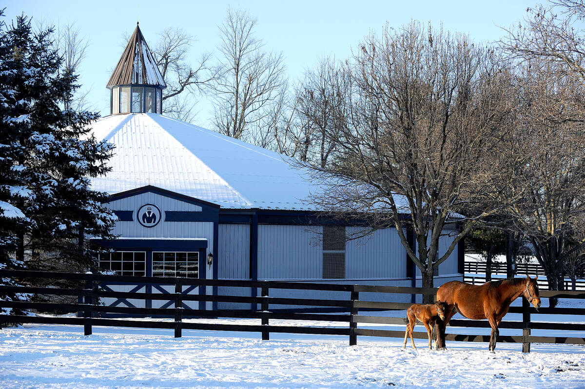 Kentucky In Winter: 10 Cozy Things To Do