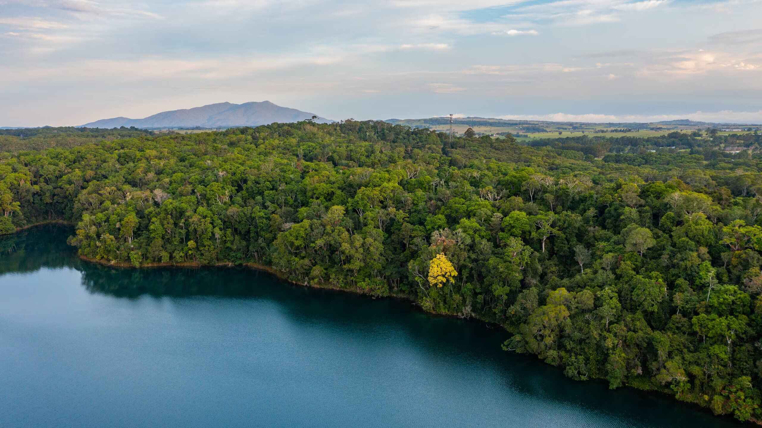 Lake Eacham Visitors Guide – Crater Lakes National Park, Queensland