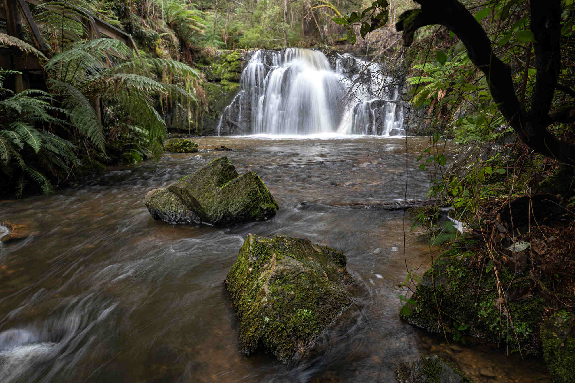 Lilydale Falls Tasmania – Waterfall And Free Camping Guide