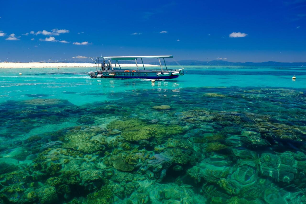 Michaelmas Cay – Exploring The Best Of The Outer Great Barrier Reef