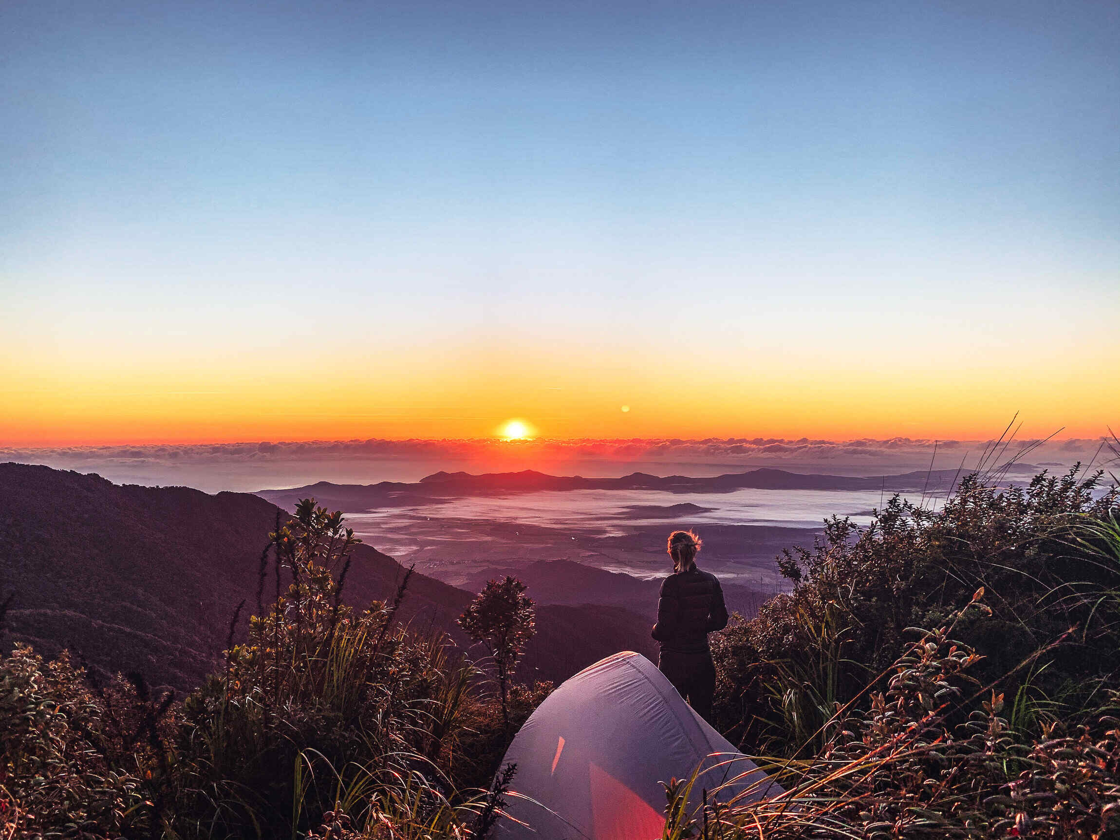 Mount Bartle Frere Hike: Guide To Climbing Queensland’s Tallest Mountain