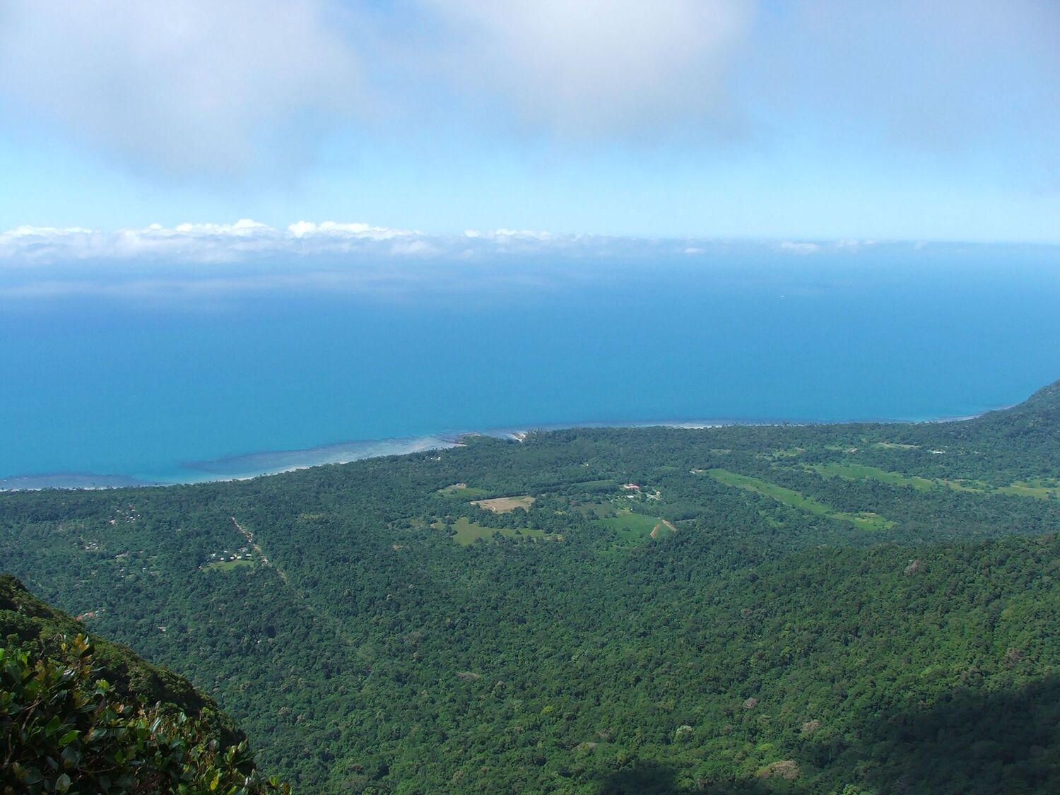 Mount Sorrow Hike – Cape Tribulation Hiking Guide