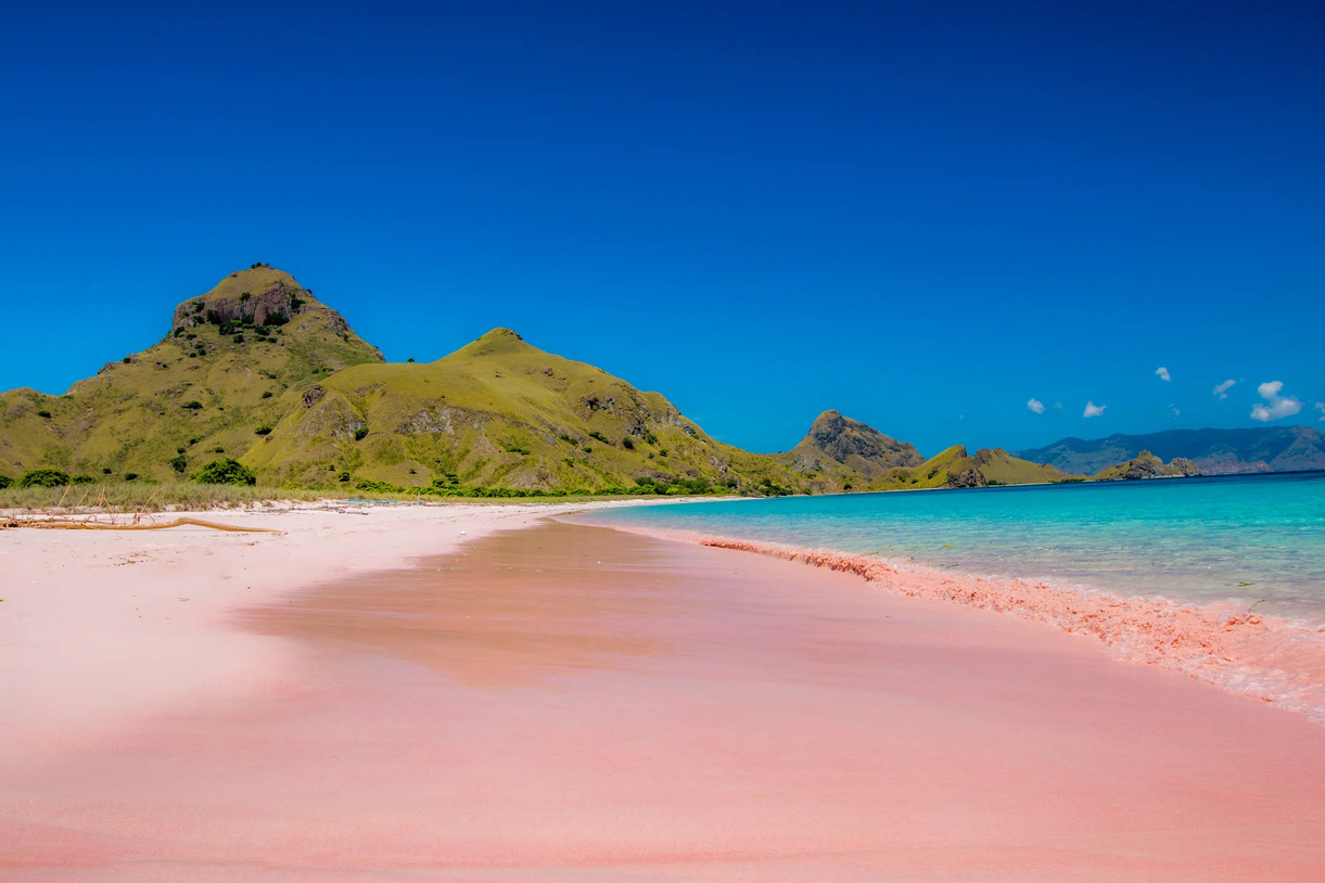 Pink Beach Lombok – Everything You Need To Know