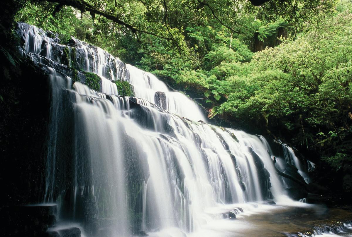 Purakaunui Falls Walk – Catlins, New Zealand