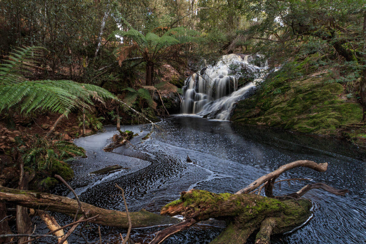 Redwater Creek Falls Tasmania – Waterfall Guide