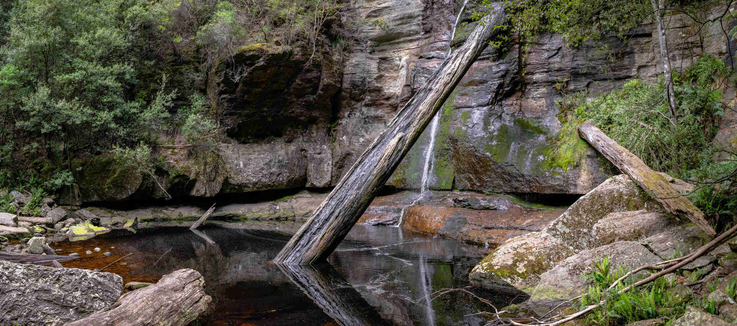 Snug Falls Tasmania – An Awesome Waterfall Walk Near Hobart