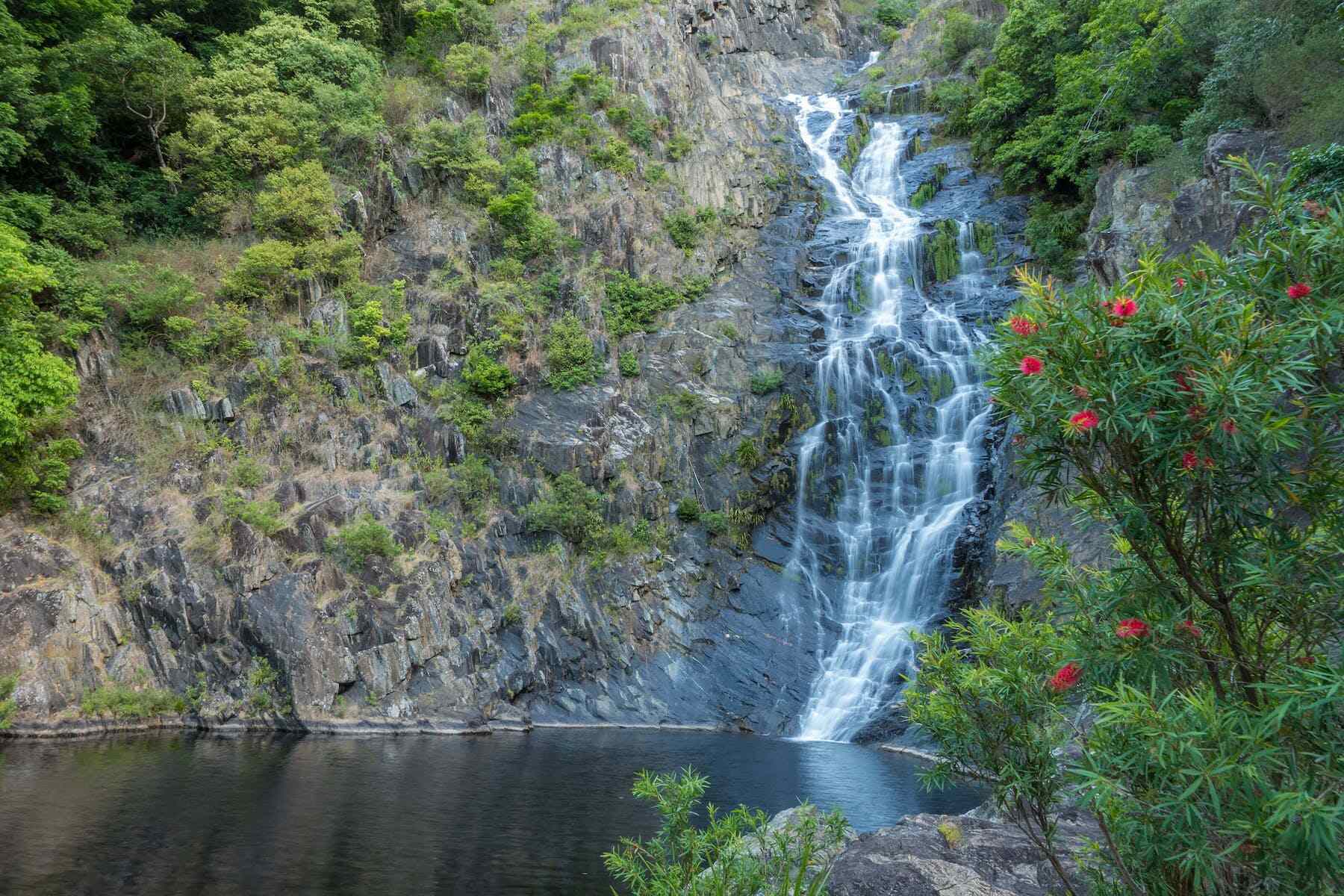 Spring Creek Falls, Port Douglas – Mowbray NP Waterfall & Hiking Guide